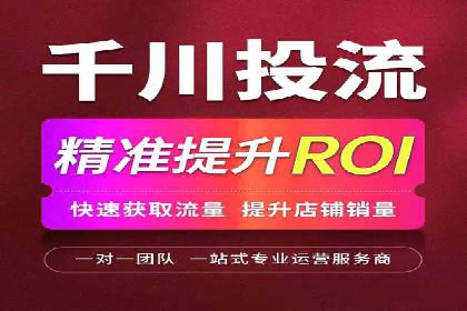 SEM搜索引擎优化案例：如何提升网站流量和转化率